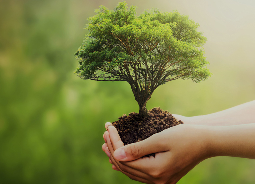 Sustainability