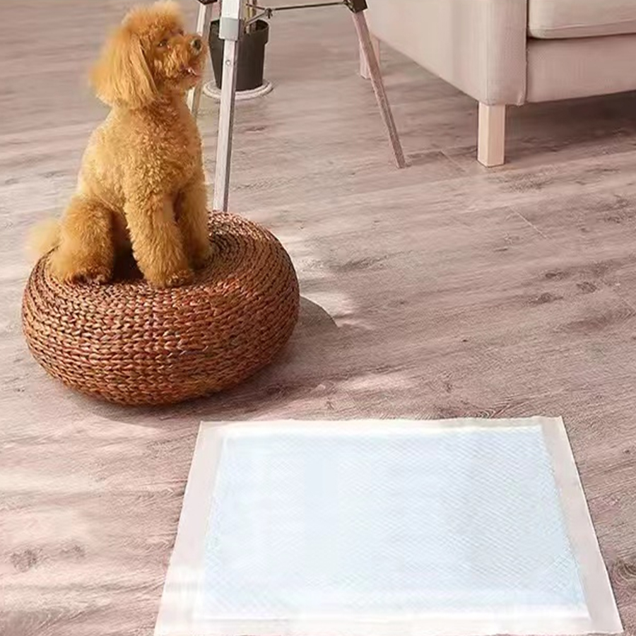 Diaper&Pads for pet 02